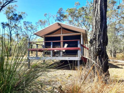 Wild Nature Lodge, Mareeba Wetlands