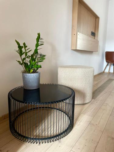 Penzion Kolnička (Penzion Kolnicka) in Jindrichuv Hradec