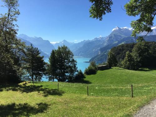  Guest Flat in the Swiss Mountains (Lake View) in Seelisberg