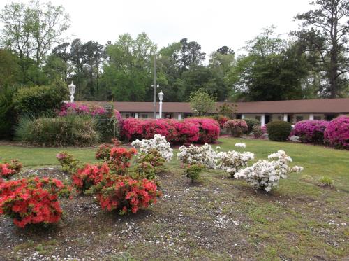 Azalea Inn & Suites, Wilmington