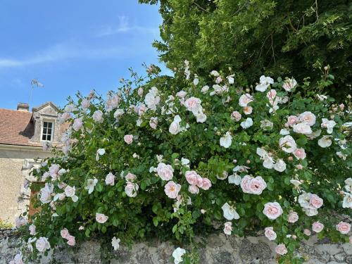 Hôtel & SPA Château de La Côte - Brantôme