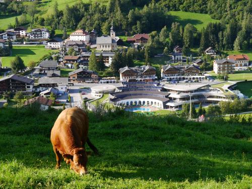 Ferienappartement Dr. Weintögl Bad Kleinkirchheim