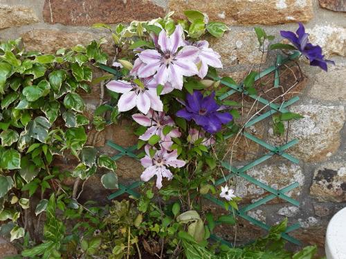 Kilátás, Ty Evelyne 11 Kernevez BOTMEUR in Audierne