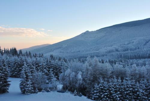 Vistas, Apartmán U Sjezdovky (Apartman U Sjezdovky) in Ostruzna