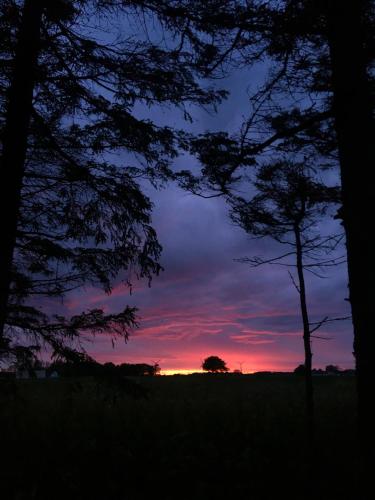  Apartamenty Molle in Åkirkeby