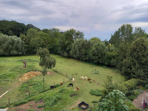 Hof Albersmeier Hüttinghausen / Urlaub am Stall