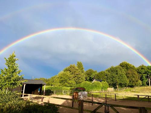 Bed and Breakfast De Paalberg in Hoenderloo