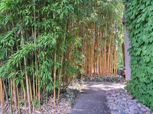  Studio indépendant en résidence avec extérieur in Portalban- Dessous