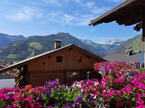 Appartement Haus Gatterer 2