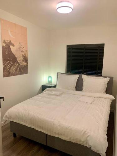  Veluwse Wolf: natuurlijk genieten! in Otterlo