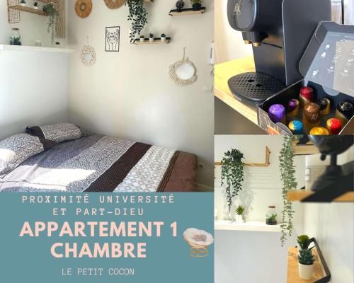 L'Oasis Cosy, Villeurbanne
