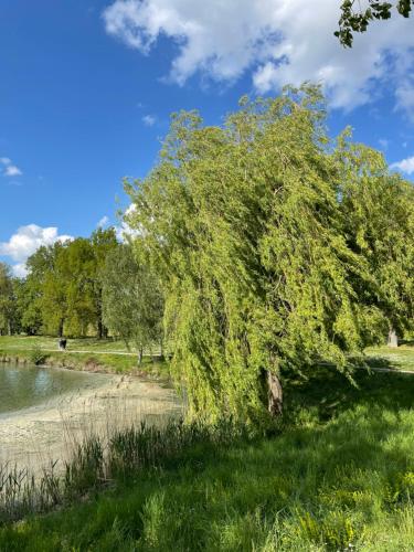 Maison familiale 8 p en vallée de Dordogne - Lot