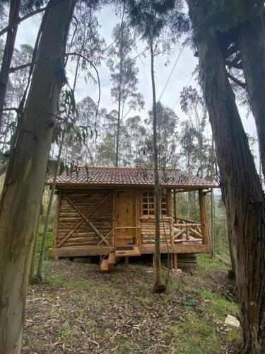 The Hideout- A Cabin in Nature; 25 min from Cuenca