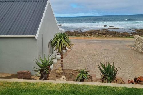 Hysie oppie see in Jongensfontein