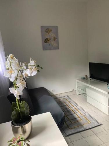Appartement cosy 15 min d'Orly