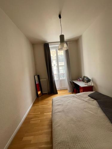 Saint-Louis : Saint-Étienne appart de 125 m2 centre-ville 4 chambres,4 lits king size