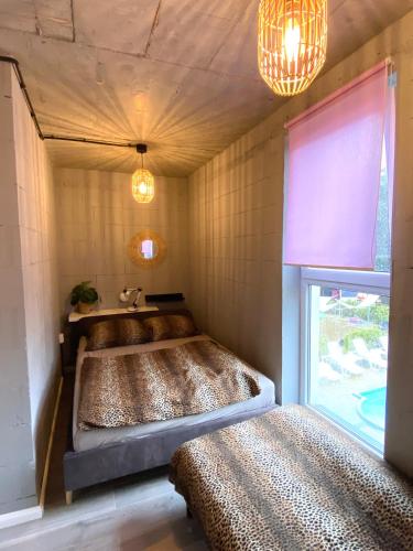 Two-Bedroom Apartment image 8
