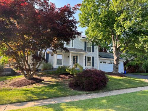 Upgraded, beautiful 4 BD Colonial in Silver Spring