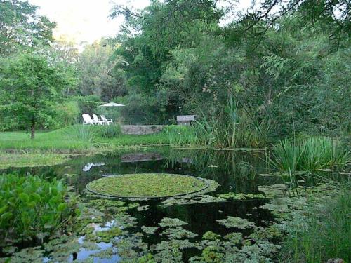 Sen de campo: viví la naturaleza