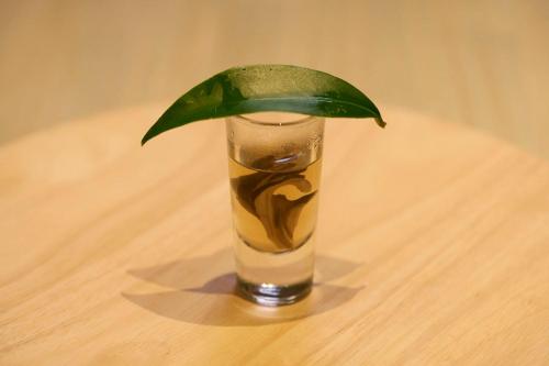 餐飲選擇