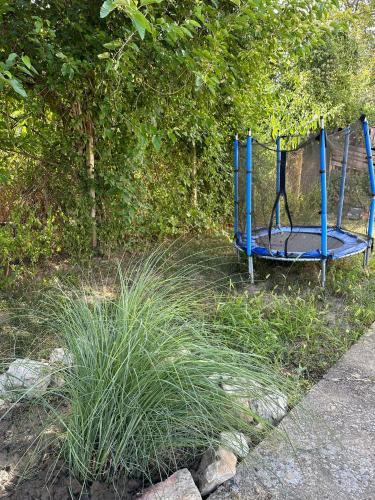 Surrounding environment, Къща за гости Ива in Pavlikeni