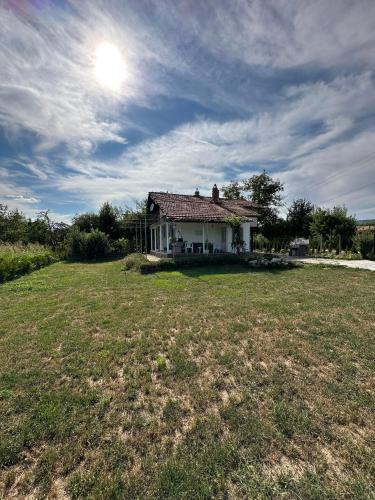 Surrounding environment, Къща за гости Ива in Pavlikeni