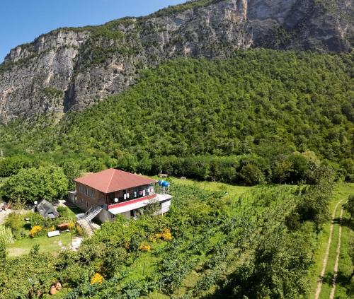 Vista exterior, Guest House Oasis - Tvishi in Lailashi
