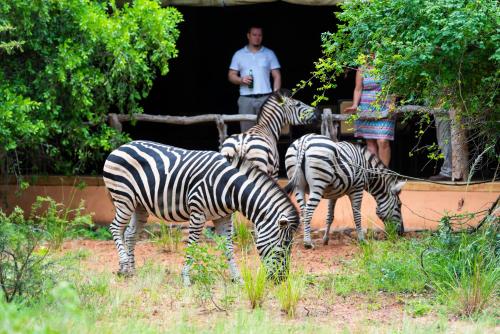 Leopard Walk Lodge