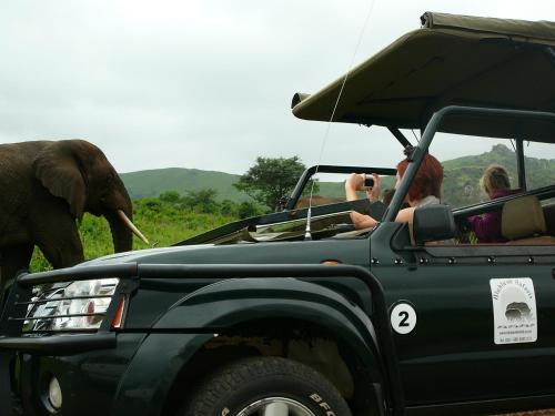 Leopard Walk Lodge Leopard Walk Lodge