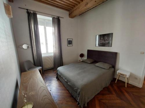 APPARTEMENT CENTRE VILLE VIENNE