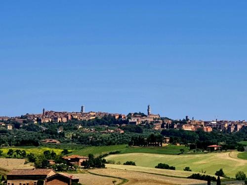  DAGO Farmhouse in Siena