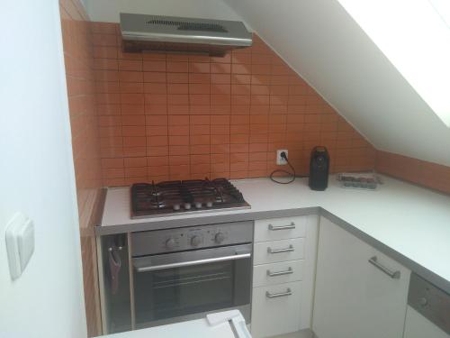 Apartmán ve Vinařství Bravenec Čejč (Apartman ve Vinarstvi Bravenec Cejc) in Hovorany