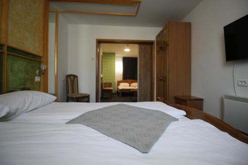 Hotel Pansion Stari Grad - image 3