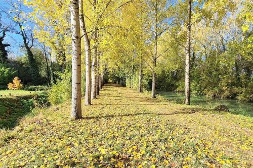 T-2 ouest 47m2 la maison au bord du Canal du Midi