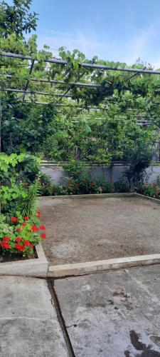 Гостевой дом ДАВИД