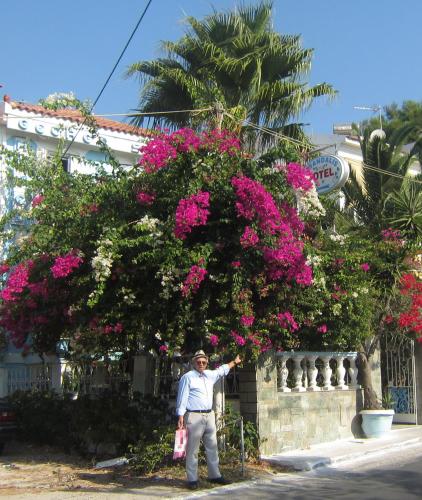 G. Sandalis Hotel - main image