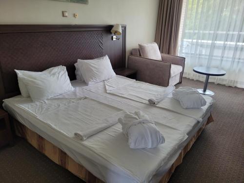 Sana Spa Hotel - image 4