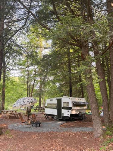 Boheme Retreats Vintage Campers in Livingston Manor, USA