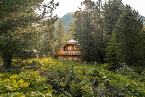 Alpin-Hütten auf der Turracherhöhe Haus Murmeltier by S4Y