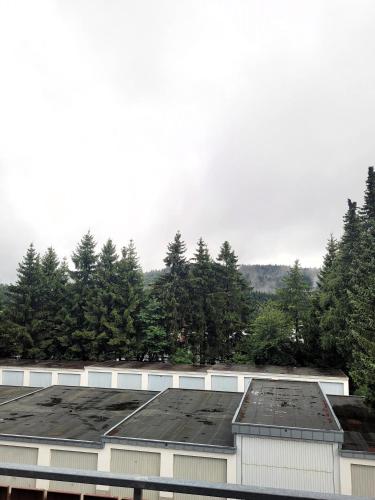 Winterberg Appartement 21028 - image 13