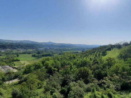  Apartment Patrizia by Interhome in Piccianello