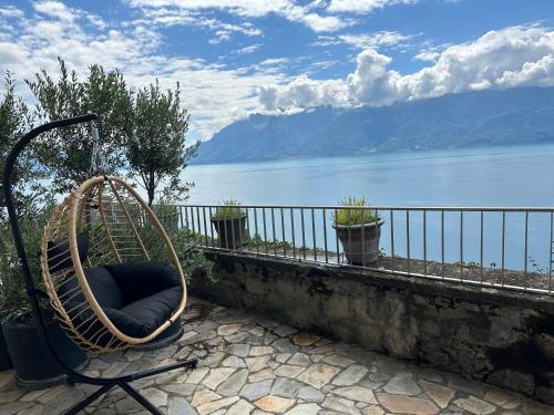 Panoramic Room in the vineyard,stunning views of lake and Alps