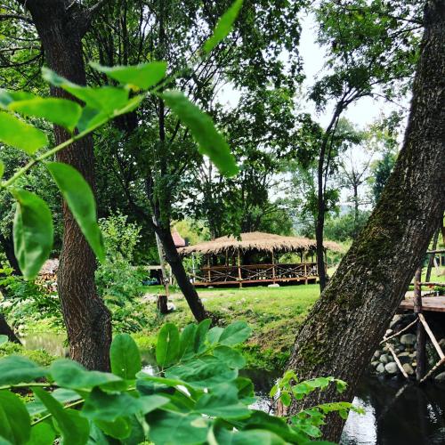 Viewtopia The Secret Land Viewtopia The Secret Land