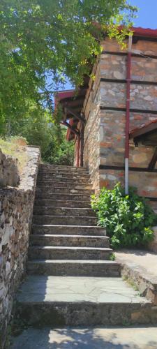 Kastania Gi in Palaios Panteleimonas