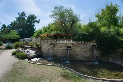Mobil Home 3 ch 787
