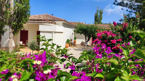 Mediterranean house with beautiful garden