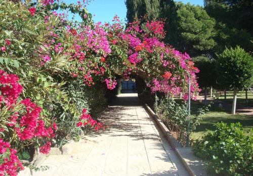 CORTIJO EL LLANO GRAND