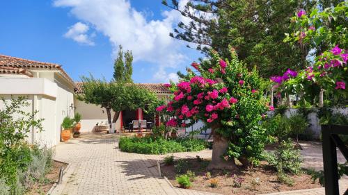 Mediterranean house with beautiful garden