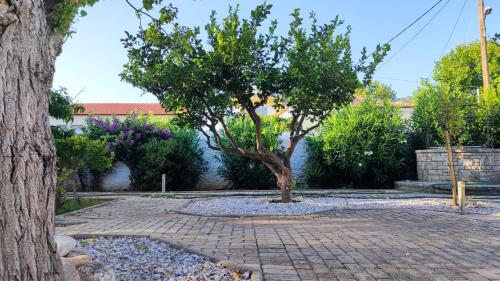 Mediterranean house with beautiful garden