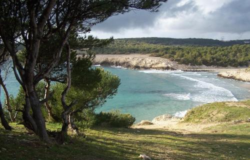 Résidence Goélia Cap Bleu - image 6